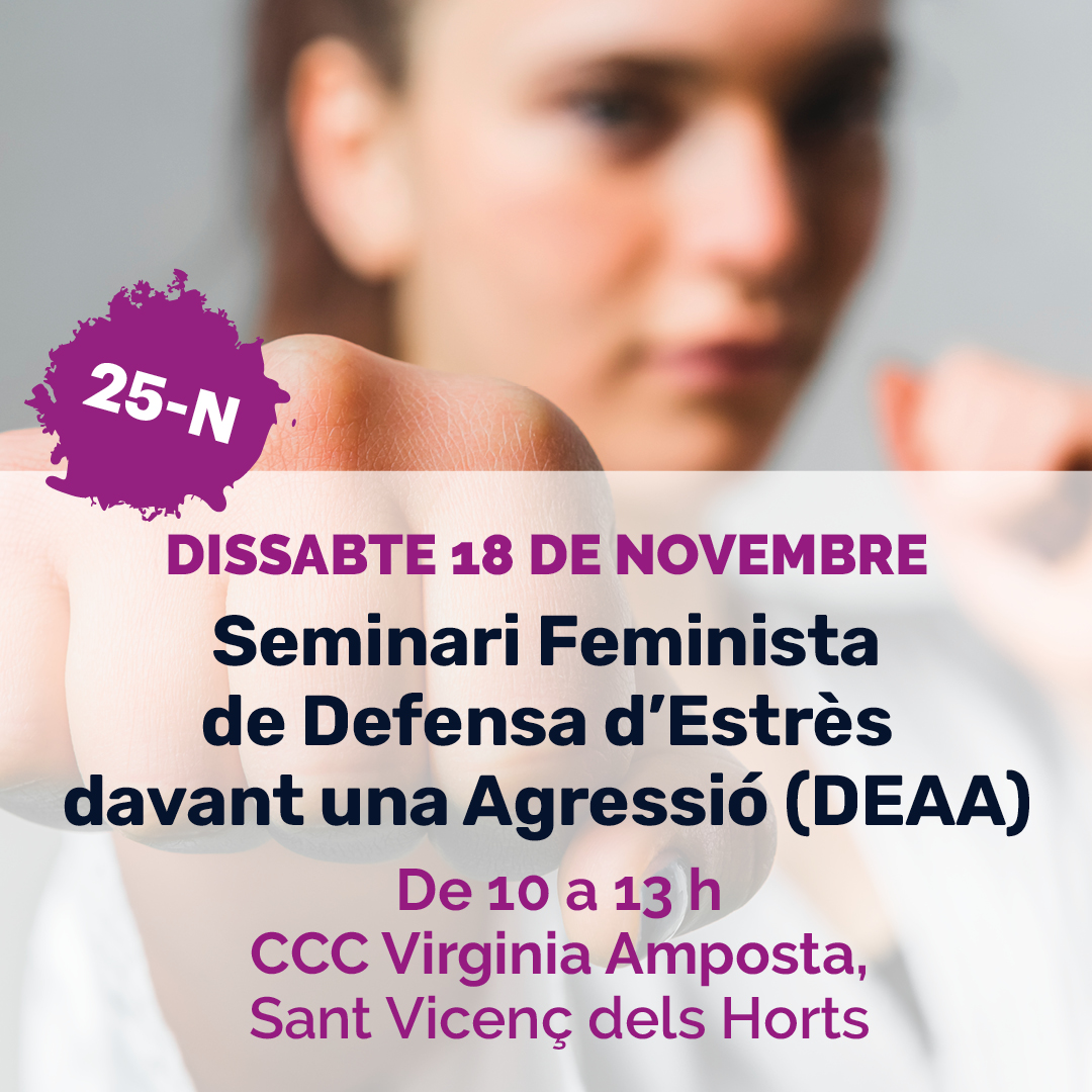 Seminari Feminista de Defensa d'Estrès davant una agressió (DEAA)
